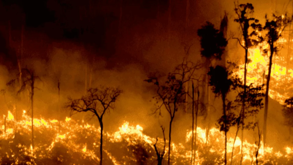 Amazônia tem maior número de incêndios florestais no mês de maio em 18 anos, diz Inpe