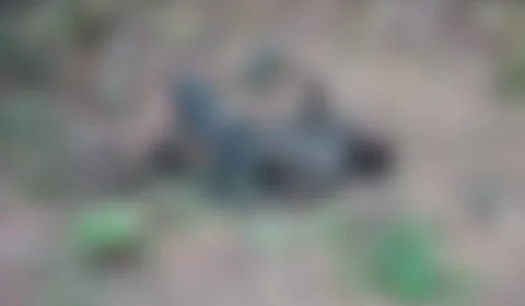 Corpo de homem é encontrado carbonizado na Zona Oeste de Manaus