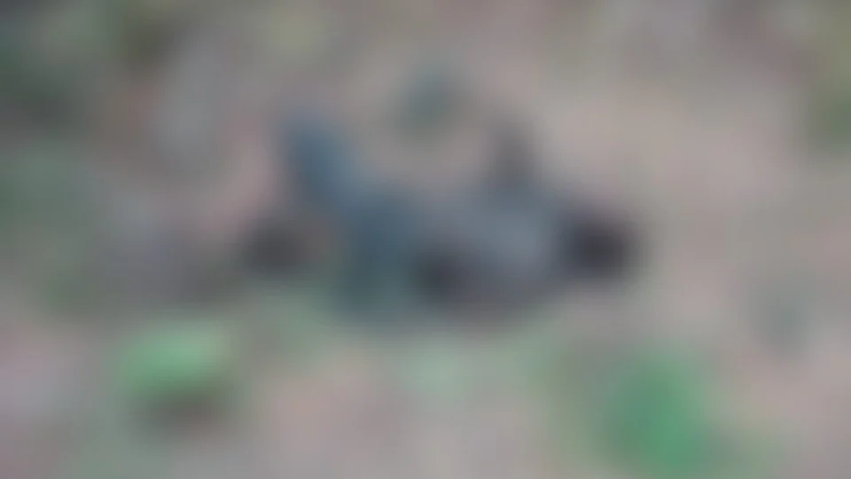 Corpo de homem é encontrado carbonizado na Zona Oeste de Manaus