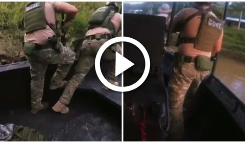 VÍDEO: operação é realizada para combater a pirataria e o desmatamento no interior do Amazonas