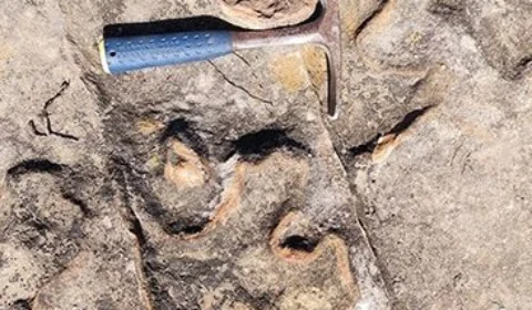 Pegadas de dinossauros são encontradas durante instalação de torres, no Ceará