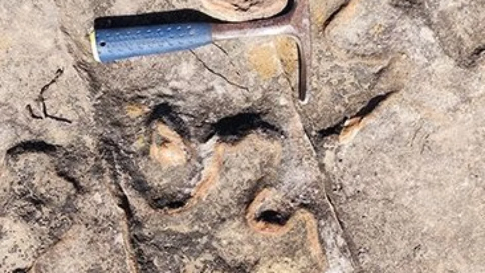 Pegadas de dinossauros são encontradas durante instalação de torres, no Ceará