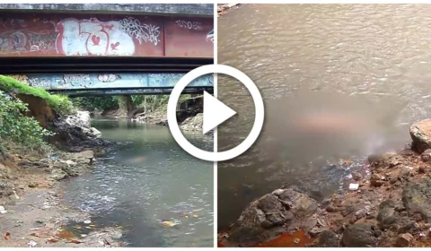 VÍDEO: corpo de mulher trans é encontrando boiando em igarapé na Zona Sul de Manaus