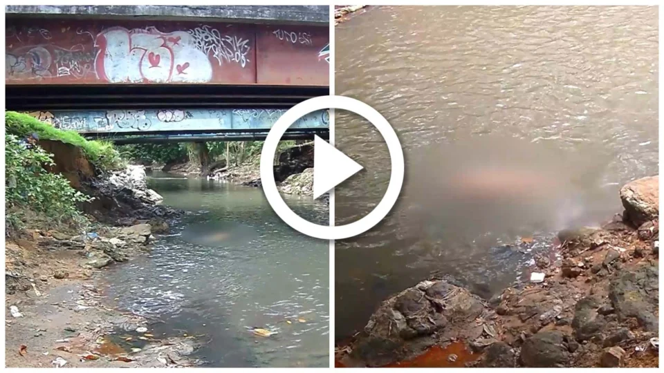 VÍDEO: corpo de mulher trans é encontrando boiando em igarapé na Zona Sul de Manaus