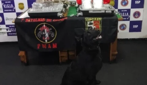 Adolescente é apreendido com 10 kg de drogas em embarcação no interior do Amazonas