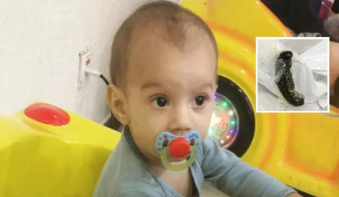 Bebê de sete meses morre após engolir lagarta no Espírito Santo