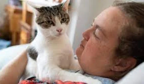 Gato salva dona durante ataque cardíaco, na Ingraterra