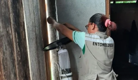 FVS investiga caso de Leishmaniose Visceral Canina, em Nhamundá-AM