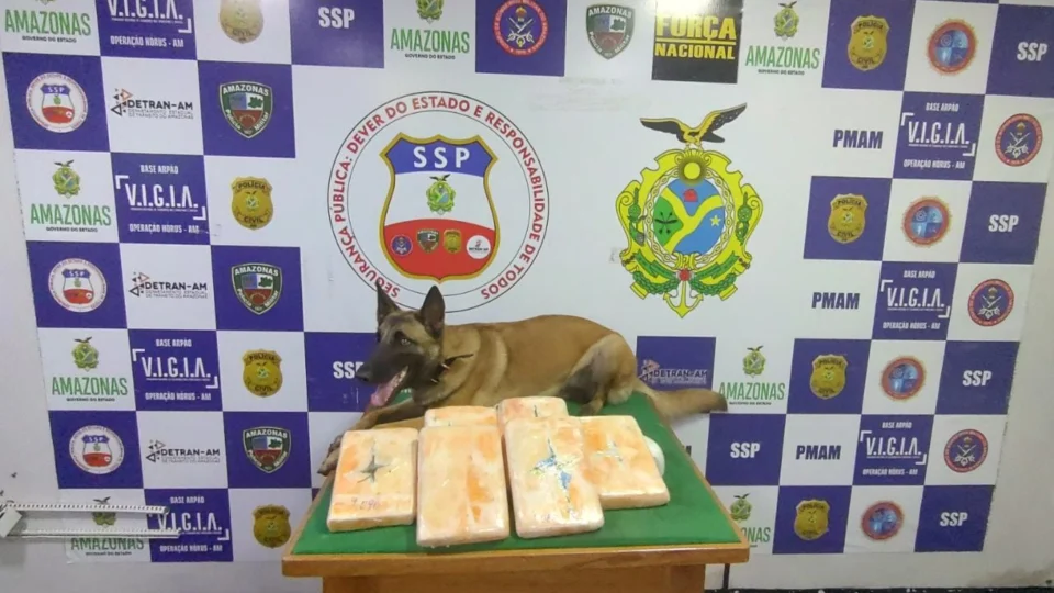 Polícia encontra mais de 6 kg de drogas em lixeira de embarcação, no Amazonas