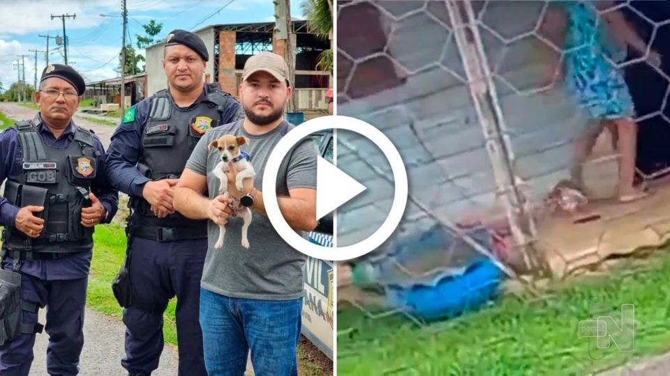 VÍDEO: no AM, mulher é flagrada chutando filhote de cachorro e gera revolta em vizinhos