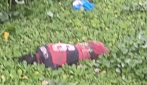 Corpo de homem é encontrado em igarapé de Manaus