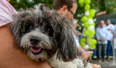 No AM, Autazes recebe operação de castração de cães e gatos neste sábado