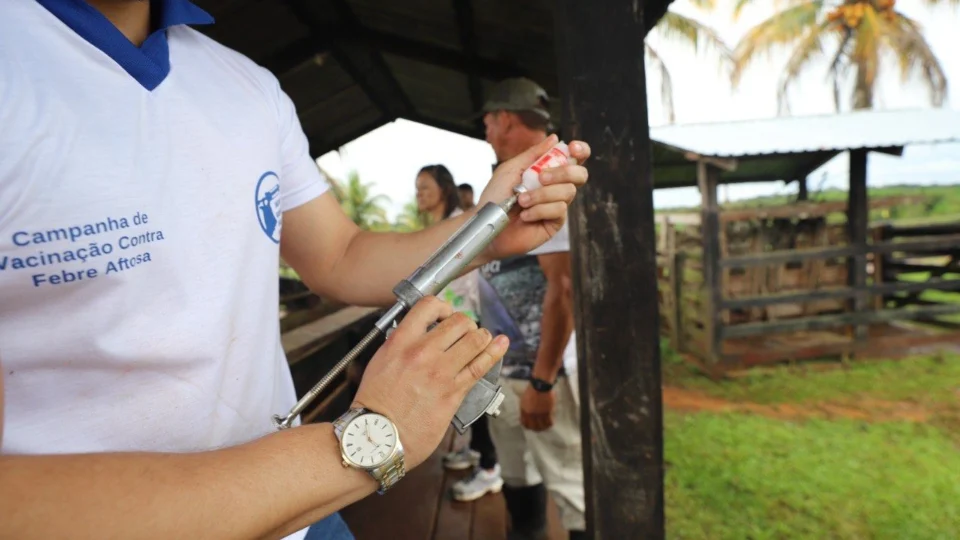 Primeira etapa da campanha “Amazonas Sem Febre Aftosa” é realizada em Presidente Figueiredo-AM