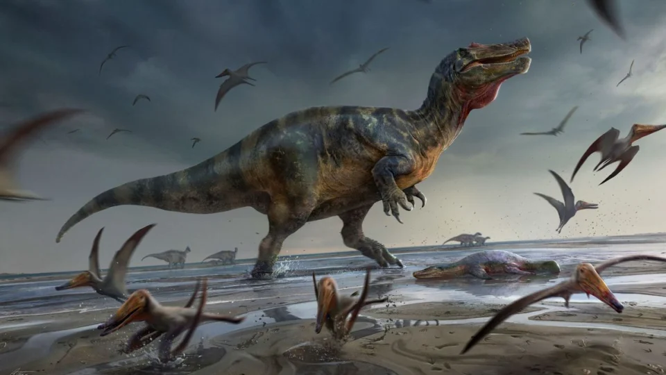 Paleontologistas britânicos encontram restos do maior carnívoro que já existiu na Europa