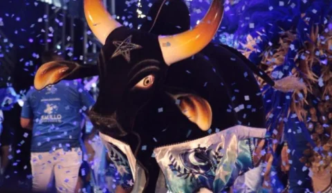 Boi Caprichoso vence o 55º Festival Folclórico de Parintins