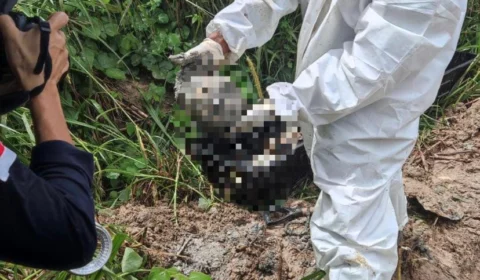 Ossada é encontrada enterrada em área de mata no Parque dos Buritis, em Manaus