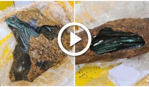 VÍDEO: Receita Federal apreende 100 kg de pedras semipreciosas nos Correios de Manaus