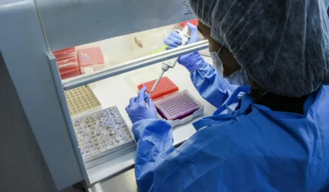 Transmissão de varíola dos macacos de homem para cachorro é registrada em MG