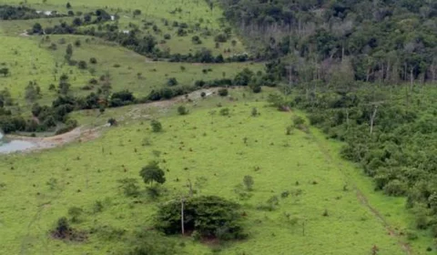 Certificado de Cadastro de Imóvel Rural pode ser consultado e emitido