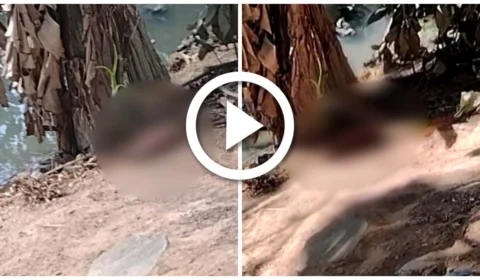 VÍDEO: restos mortais são encontrados em Igarapé do Mindu, Zona Centro-Sul de Manaus