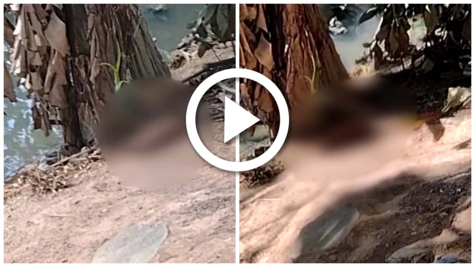 VÍDEO: restos mortais são encontrados em Igarapé do Mindu, Zona Centro-Sul de Manaus