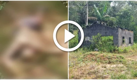 VÍDEO: corpo em decomposição é achado em área de mata sendo devorados por urubus na Zona Oeste de Manaus
