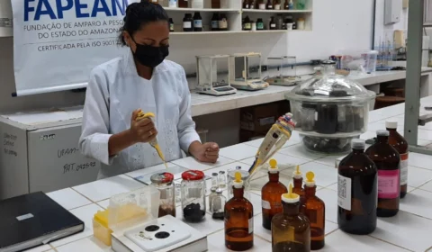 No AM, pesquisa investiga substâncias com potencial anticâncer oriundas de plantas amazônicas