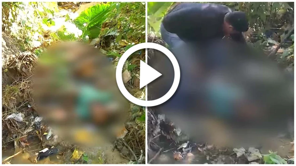 VÍDEO: corpo de homem é encontrado dentro de plantação da Zona Leste de Manaus
