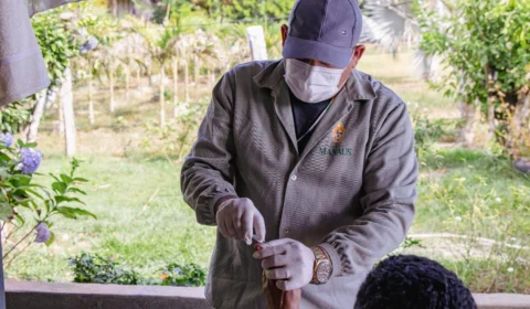 Manaus apresenta redução de 41,3% nos casos de malária, diz Semsa