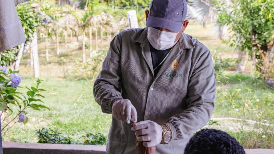 Manaus apresenta redução de 41,3% nos casos de malária, diz Semsa