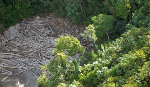 Ministério da Justiça anuncia força-tarefa para combater desmatamento ilegal na Amazônia