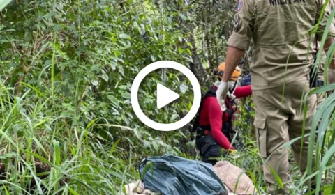 VÍDEO: corpo é encontrado em área de mata na Zona Norte de Manaus