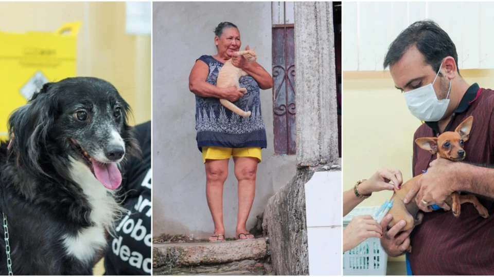 Vacinação antirrábica inicia na zona fluvial e rural de Manaus