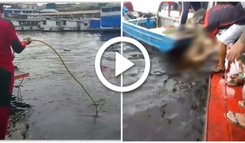 VÍDEO: corpo de homem que desapareceu no rio em Manaus é encontrado