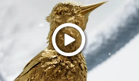 Com estreia para 2023, primeiro teaser oficial do longa ‘Jogos Vorazes: A Cantiga dos Pássaros e das Serpentes’ é lançado nos EUA