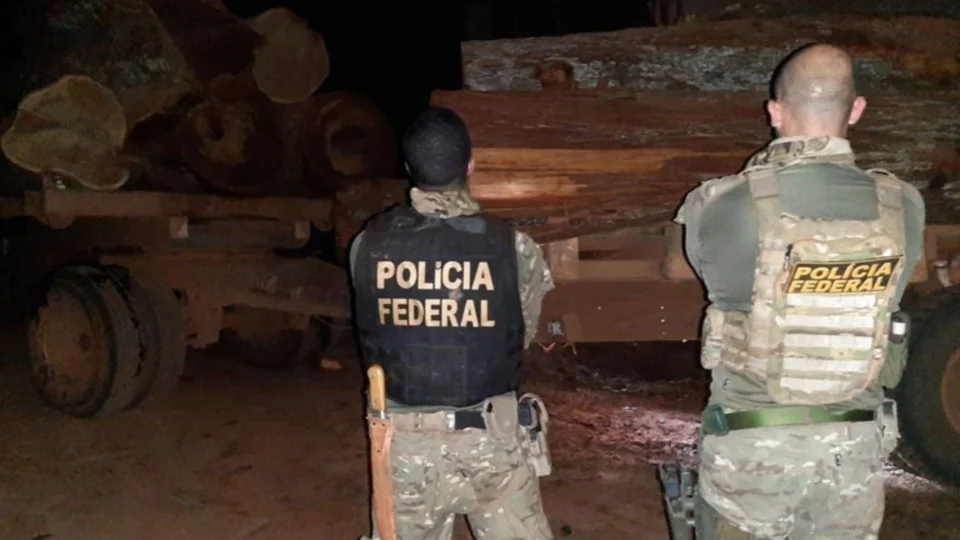 Operação combate extração ilegal de madeira na terra indígena Aripuanã, em Mato Grosso