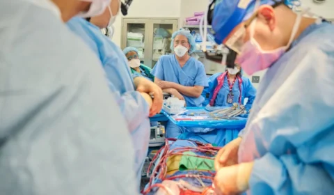 Corações de porco são implantados por pesquisadores em pacientes com morte cerebral nos EUA