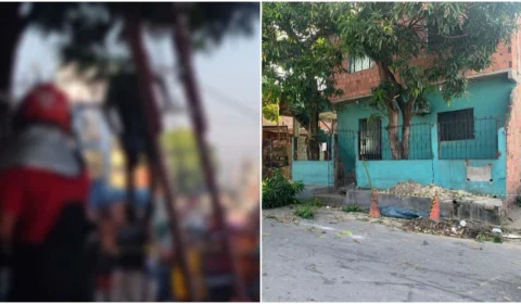 VÍDEO: homem morre eletrocutado depois de subir em árvore na Zona Leste de Manaus
