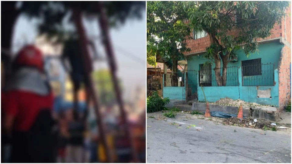 VÍDEO: homem morre eletrocutado depois de subir em árvore na Zona Leste de Manaus