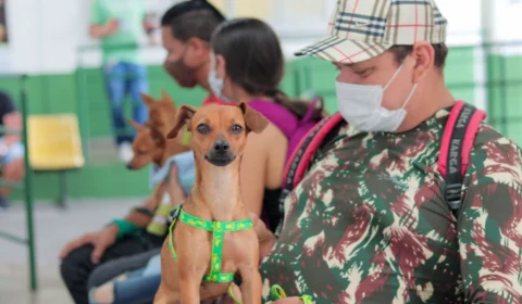 Campanha de vacinação antirrábica começa nesta sexta-feira em Manaus