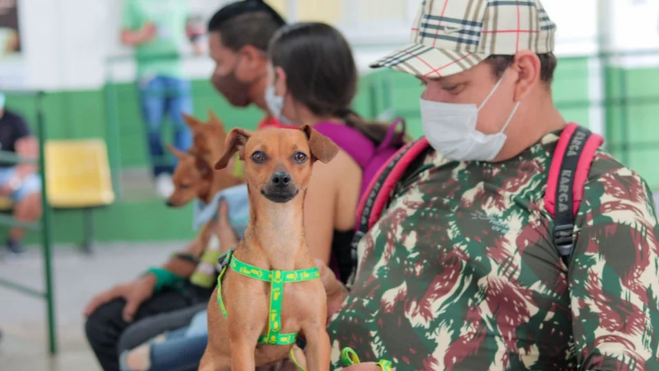 Campanha de vacinação antirrábica começa nesta sexta-feira em Manaus