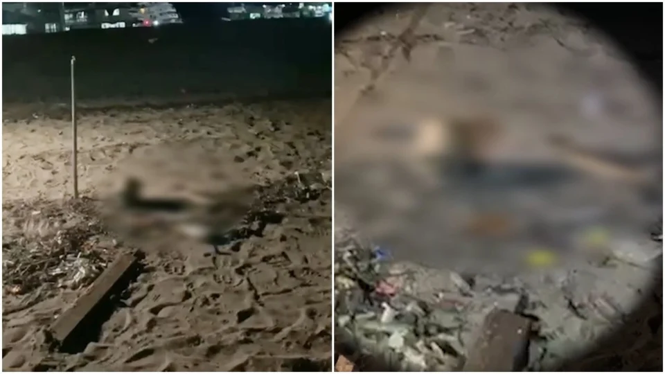 VÍDEO: barqueiro encontra partes de uma ossada humana no porto de Manaus