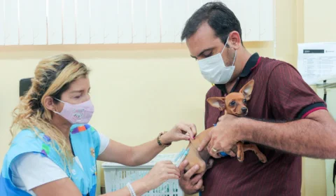 Centro de Controle de Zoonoses de Manaus vacinará animais no feriado prolongado