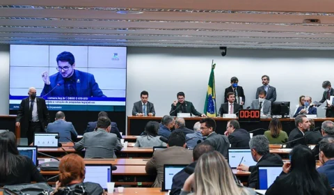 Senado e Câmara iniciam definição sobre composição das 39 comissões