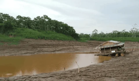 Seca no AM: 8 municípios estão em estado de emergência e 43 em atenção