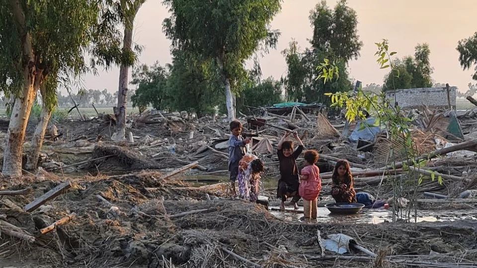Poluição e desastres naturais aumentaram no mundo em 2021, diz IEP