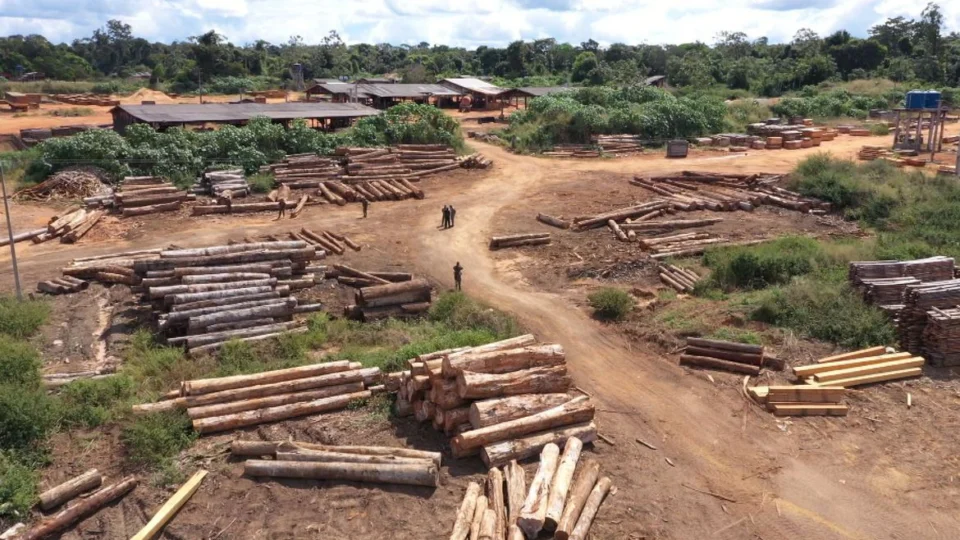 Desmatamento na Amazônia apresenta redução em comparação a abril de 2022