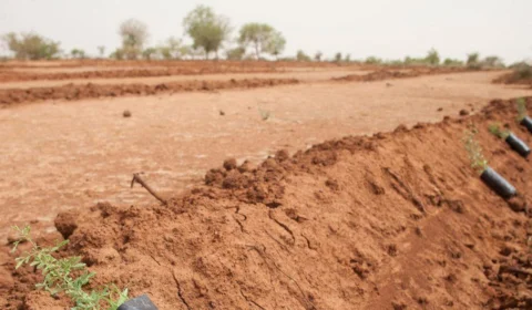 Microplásticos contaminam solo e ameaçam saúde humana, alerta ONU