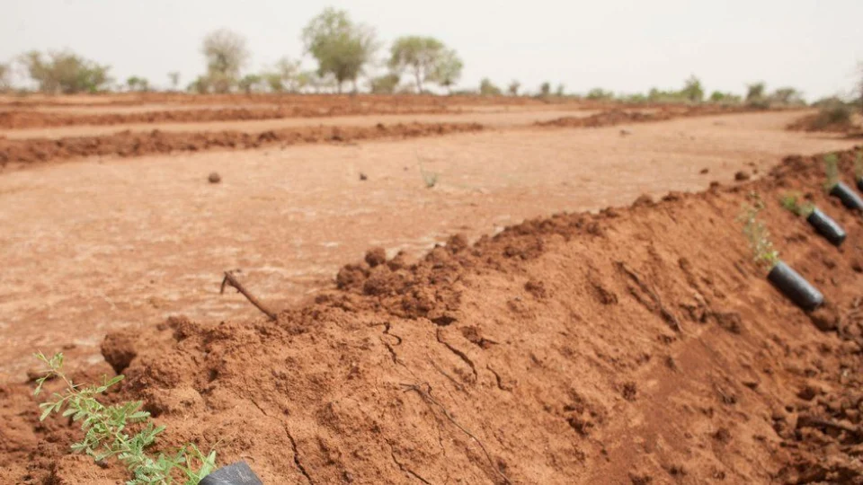 Microplásticos contaminam solo e ameaçam saúde humana, alerta ONU