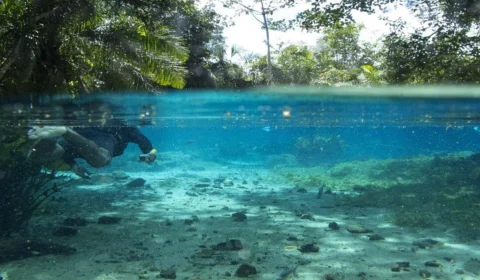 Turismo Náutico: conheça cinco cidades para praticar mergulho no Brasil